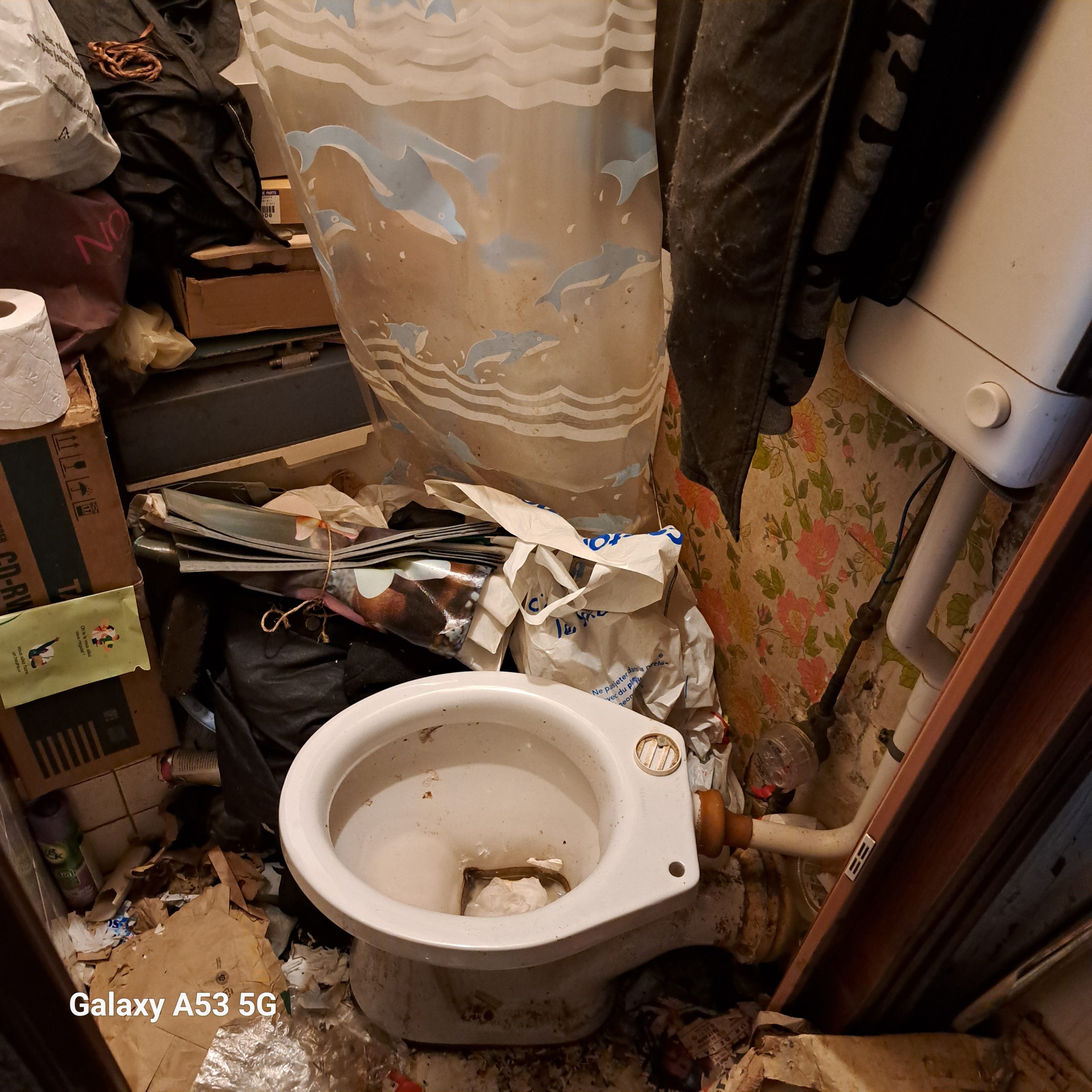 20250127 WC DOUCHE 2 Scaled